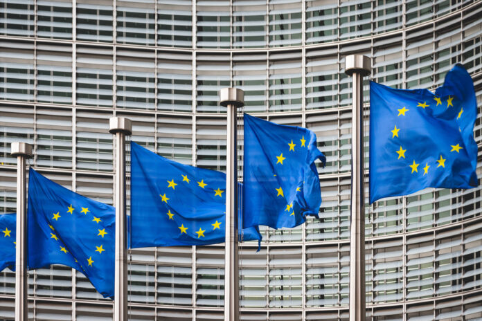 Omnibus-Regulierung will Nachhaltigkeitsberichterstattung vereinfachen