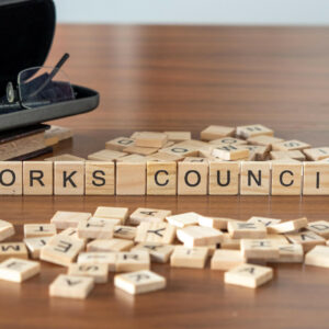 The co-determination rights of works councils